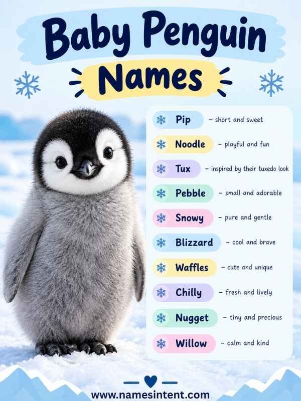 baby-penguin-names