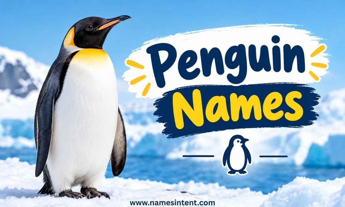 penguin-names